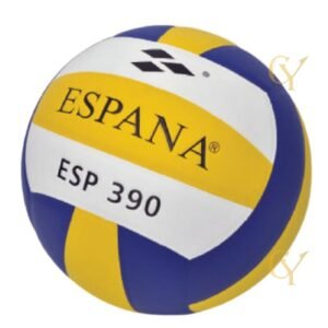 ESP 390 Volleyball